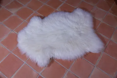 Peau de mouton UK, Blanc naturel 110/120cm de long