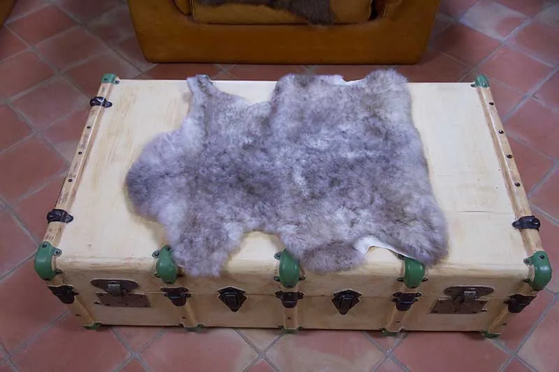 Petite peau de mouton 60/70cm de long - 6222