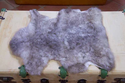 Petite peau de mouton 60/70cm de long - 6222