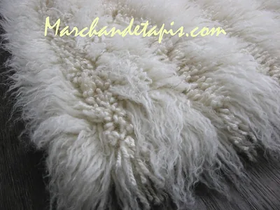 Tapis SHAGGY/FLOKATI rayures