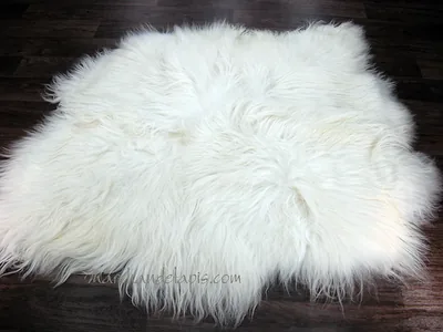 Tapis peau de mouton, 2 peaux