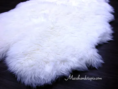 Tapis peau de mouton, Quarto, Merinos