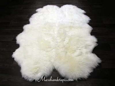 Tapis peau de mouton, Quarto, Merinos