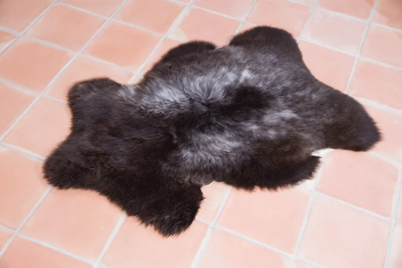 Peau de mouton UK Rare 90/100cm 04