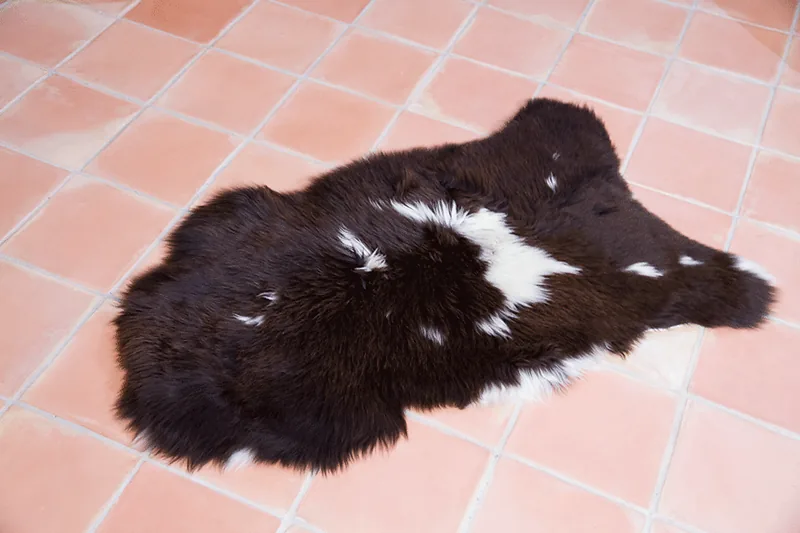 Peau de mouton UK Rare 90/100cm 05