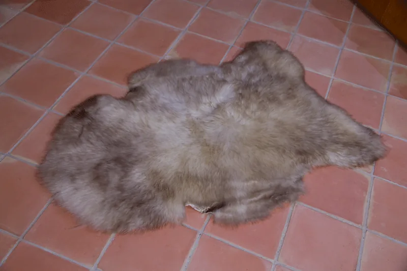 Peau de mouton UK Rare 90/100cm 08