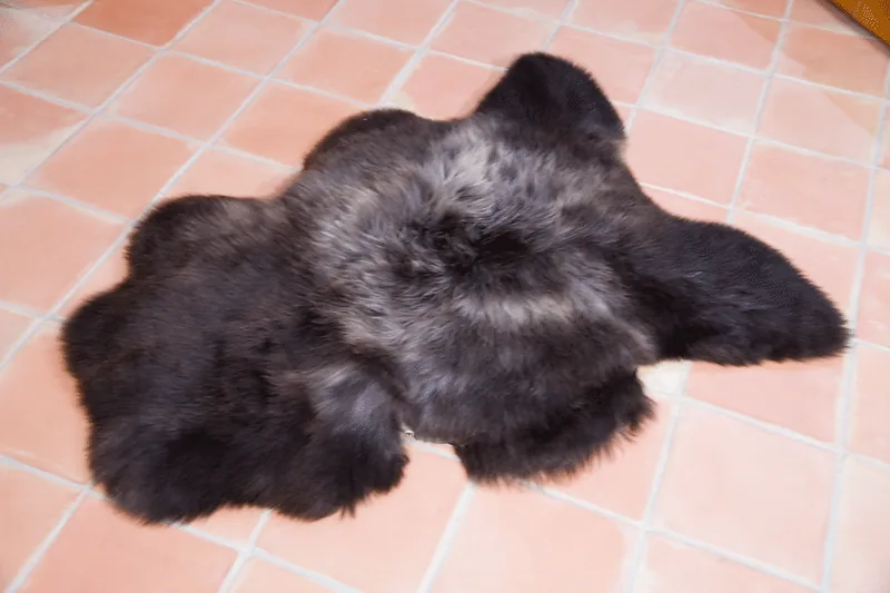 Peau de mouton UK Rare 90/100cm 09