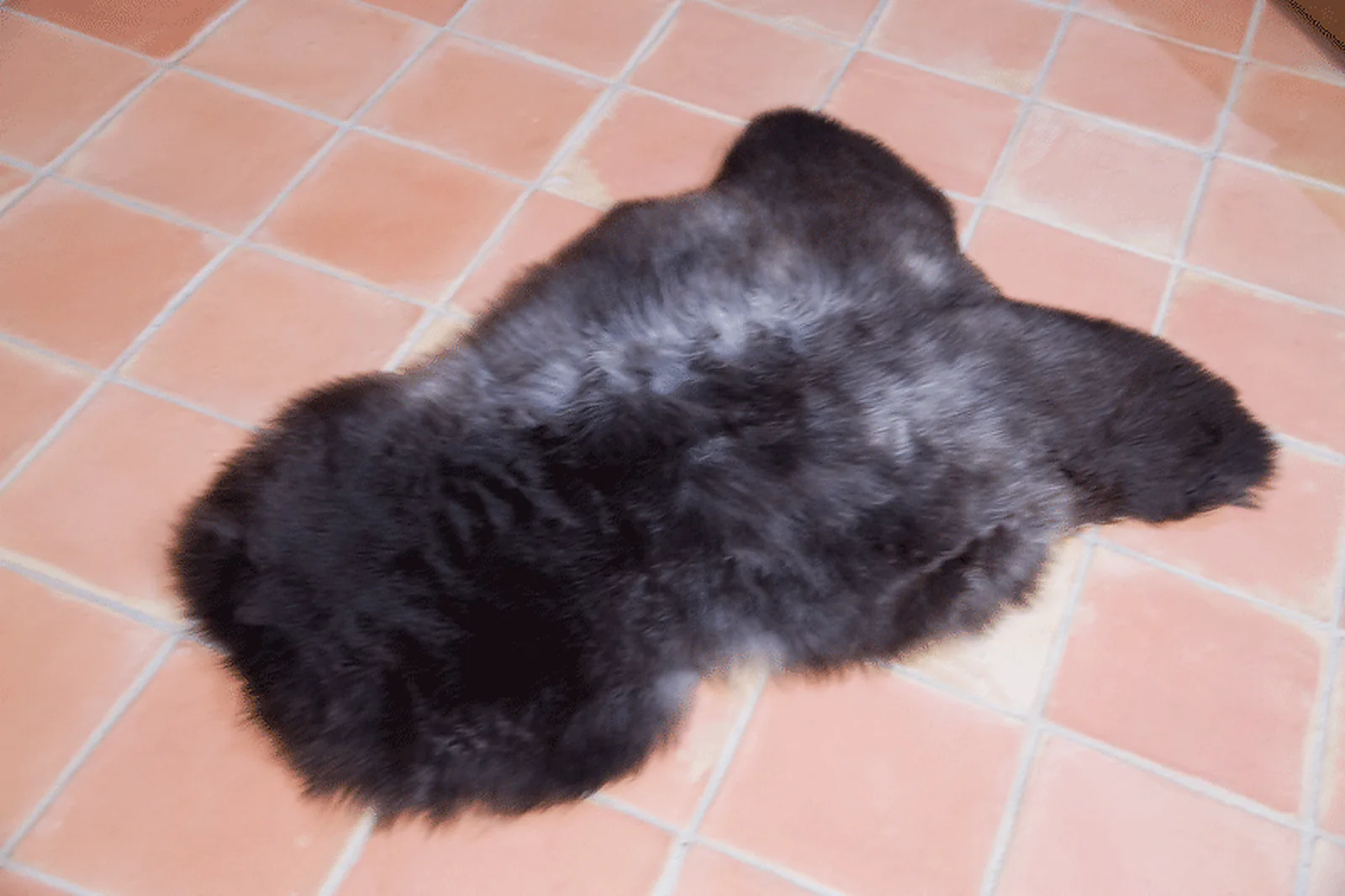 Peau de mouton UK Rare 90/100cm 10