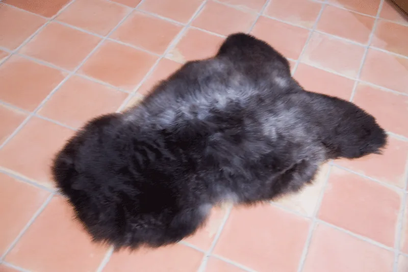 Peau de mouton UK Rare 90/100cm 10