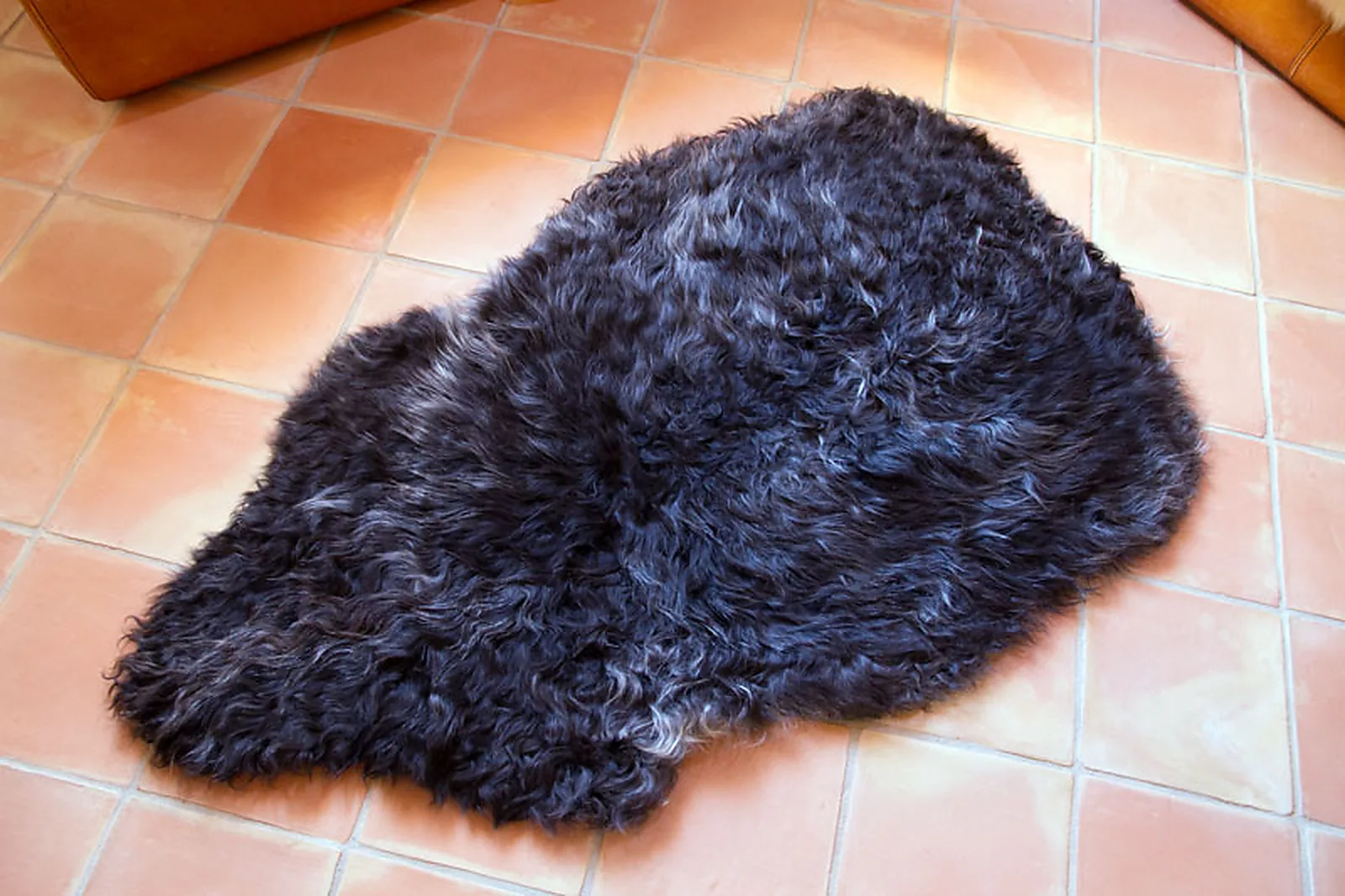 Peau de mouton UK Couleur naturelle 5748