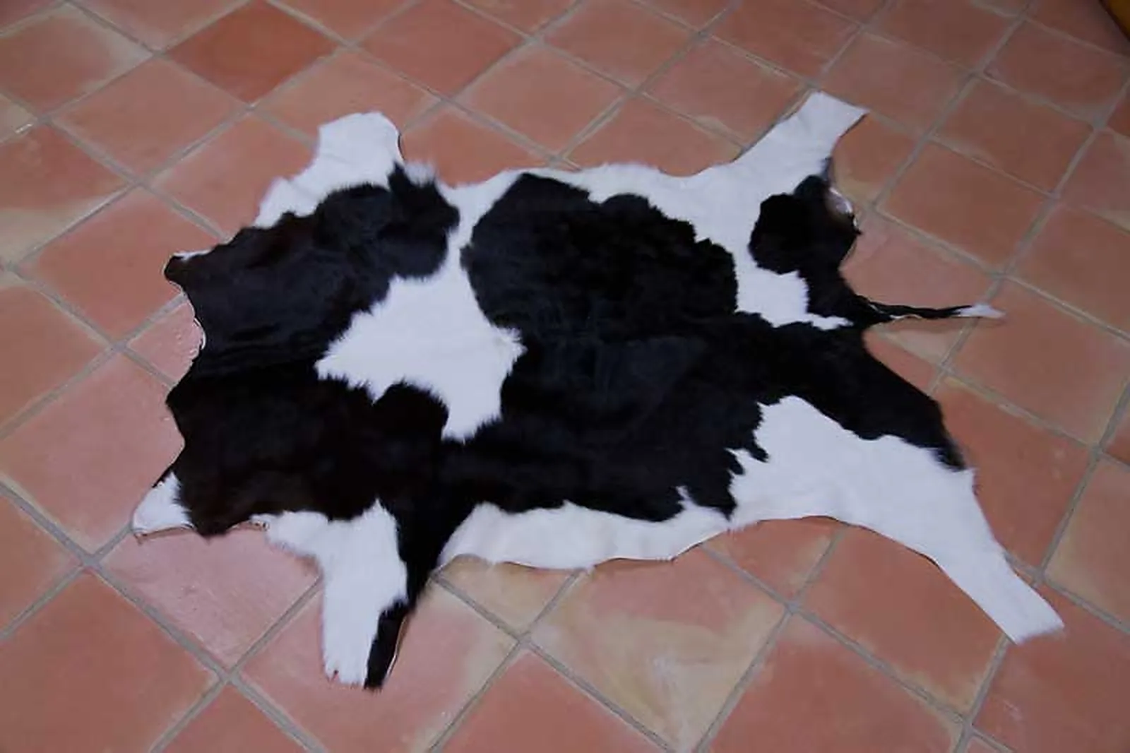 Peau de veau, noir et blanc