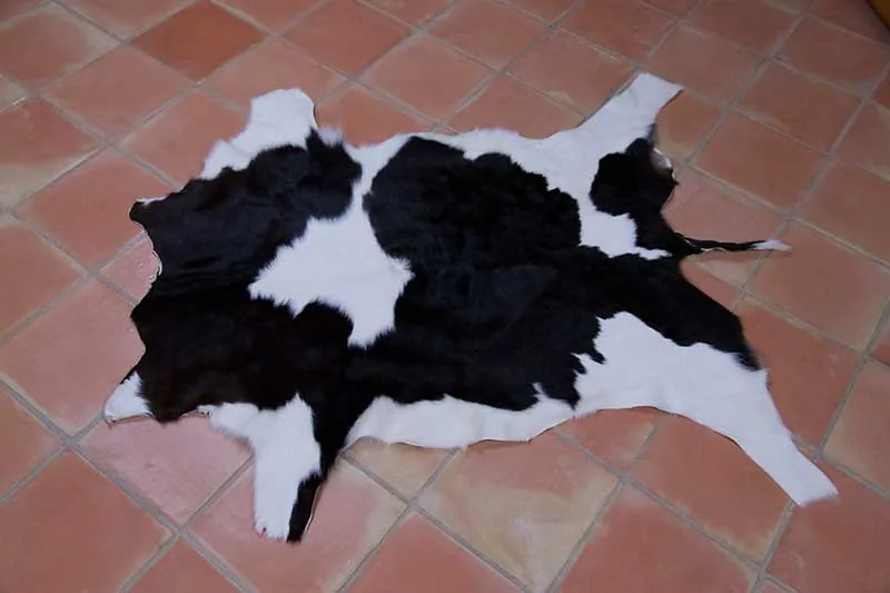 Peau de veau, noir et blanc