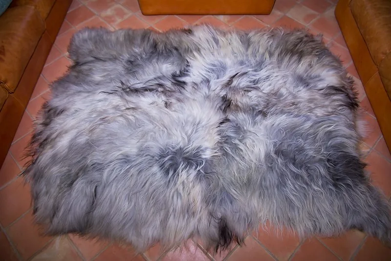 Tapis peau de mouton, 5 peaux, Gris naturel - 01