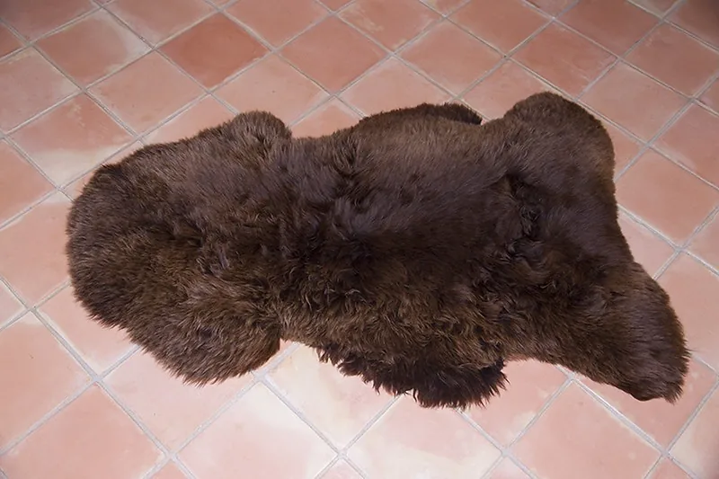 Peau de mouton UK - Couleur naturelle - 110/120cm - 0421-26