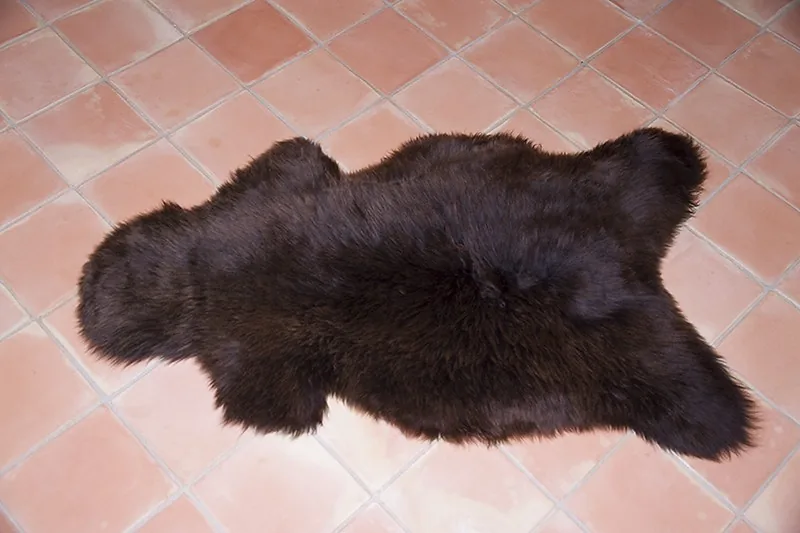 Peau de mouton UK - Couleur naturelle - 110/120cm - 0421-37