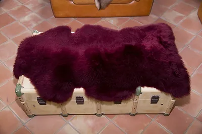 Peau de mouton. - 110-120cm