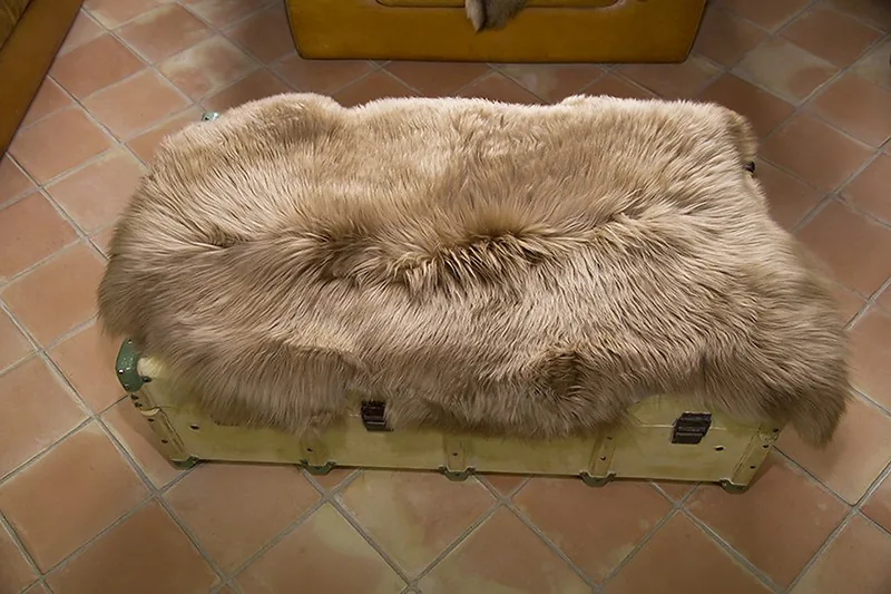 Peau de mouton. Beige - 110-120cm