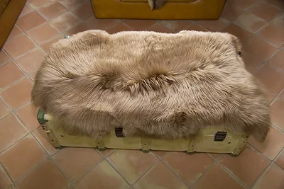 Peau de mouton. - 110-120cm