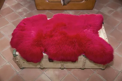 Peau de mouton. - 110-120cm