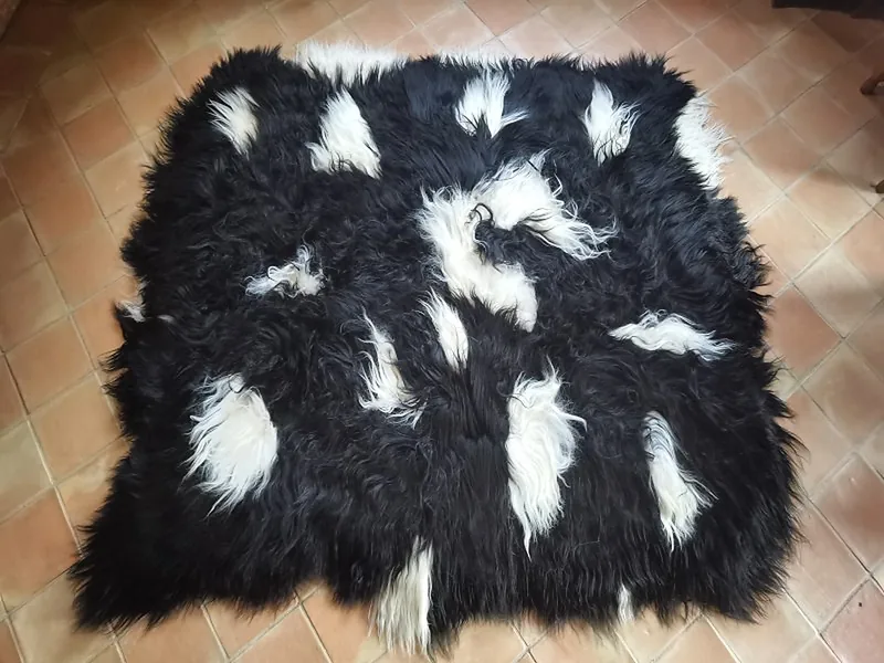 Tapis peau de mouton Islande 5 peaux poils longs TPM004