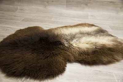 Peau de mouton UK  90/100cm 12-23-UK2