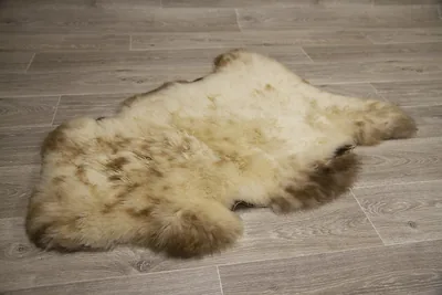 Peau de mouton UK  90/100cm 12-23-UK7