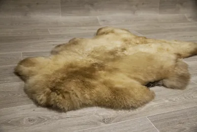 Peau de mouton UK  90/100cm 12-23-UK9
