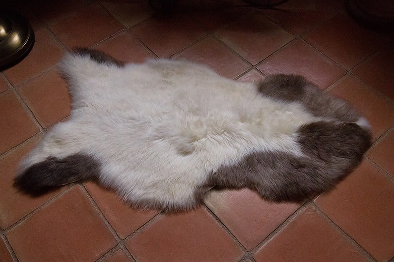 Peau de mouton Albanian 90-100cm - Ref: ALB-3-0126