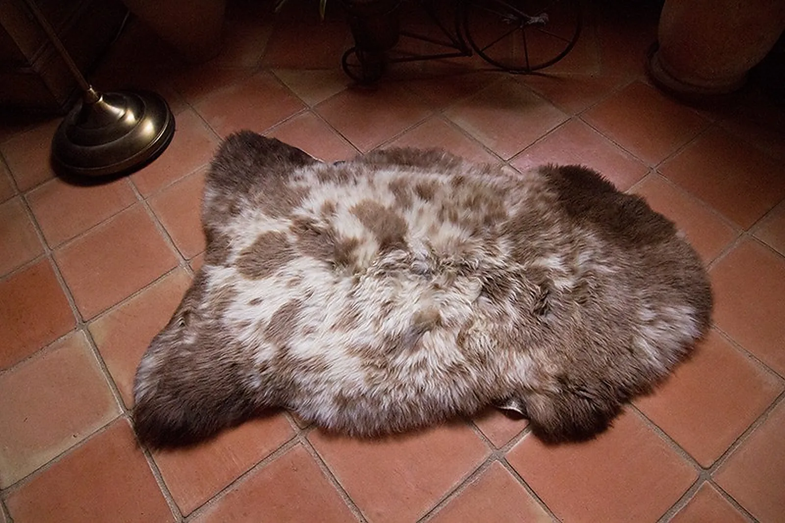 Peau de mouton Albanian 90-100cm - Ref: ALB-5-0126