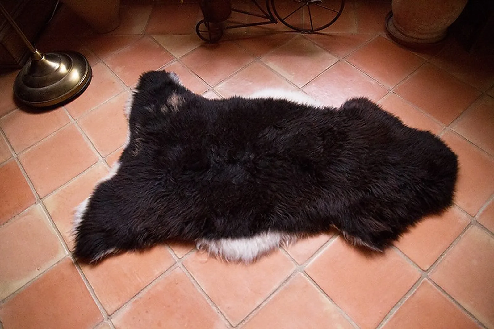 Peau de mouton Albanian 90-100cm - Ref: ALB-6-0126