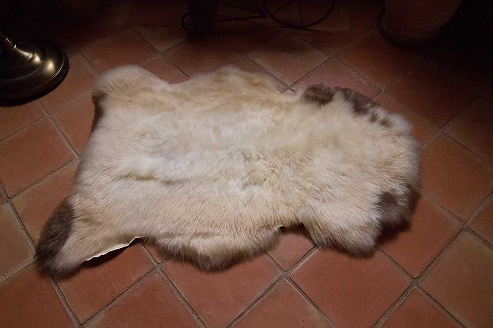 Peau de mouton Albanian 90-100cm - Ref: ALB-7-0126