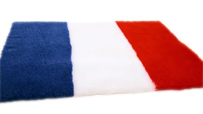 Tapis chien Drybed® antidérapant DRAPEAU FRANÇAIS