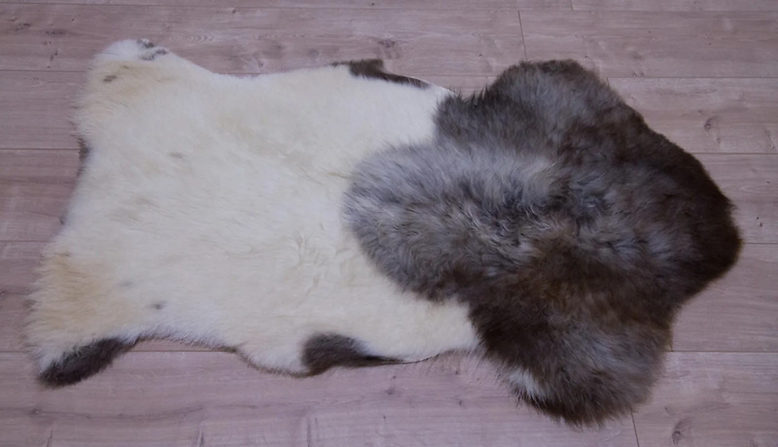 Peau de mouton Himalaya - Réf 3