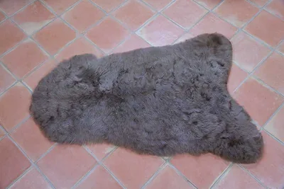 Peau de mouton Islande Poils courts Marron naturel 6215