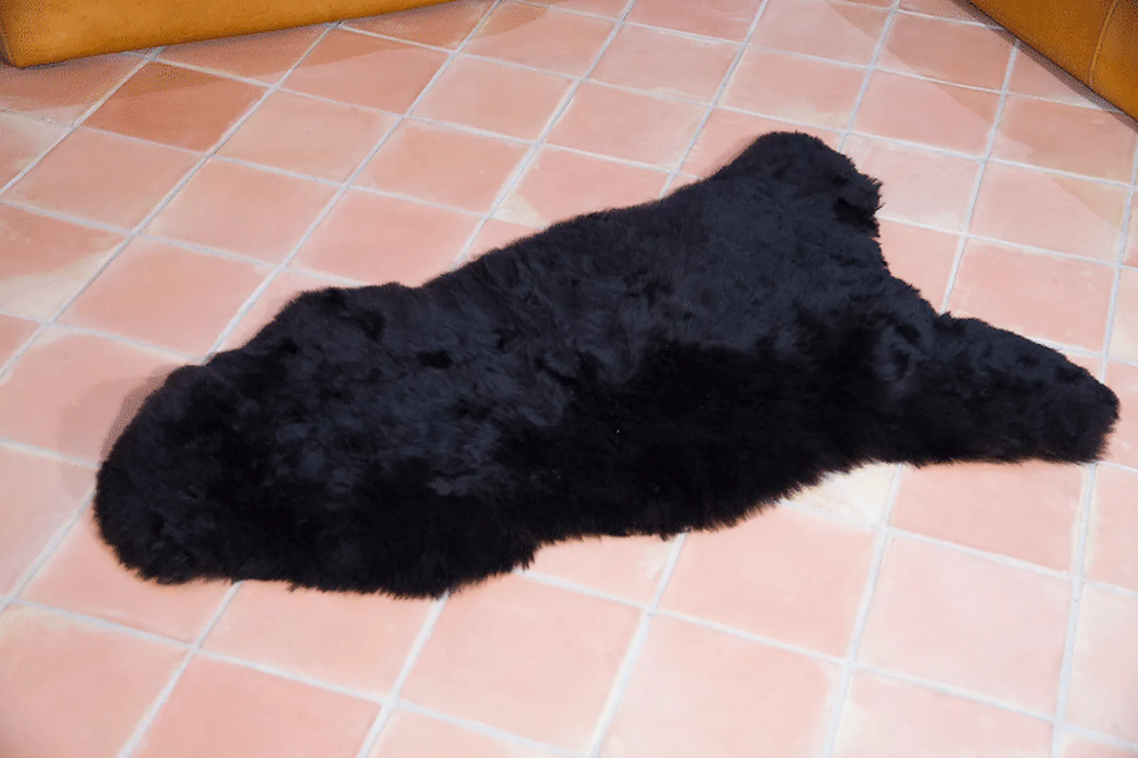 Peau de mouton Islande Poils courts Noir Marron - 1112-0002
