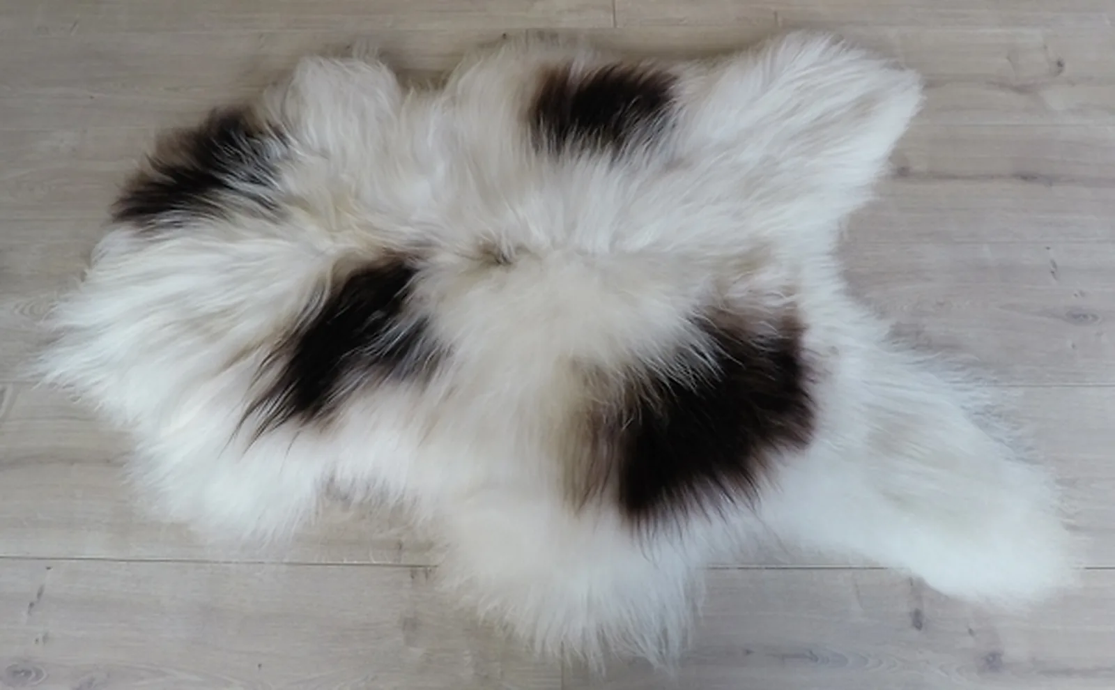 Peau de mouton. SPOTTED - 100-110cm - IS-SPOT-II-1011-4