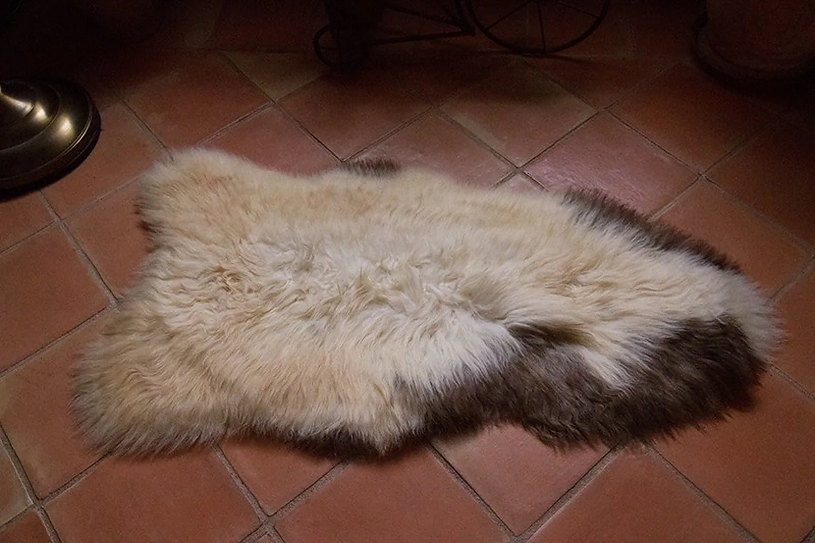Peau de mouton Albanian 90-100cm - Ref: ALB-1-0126