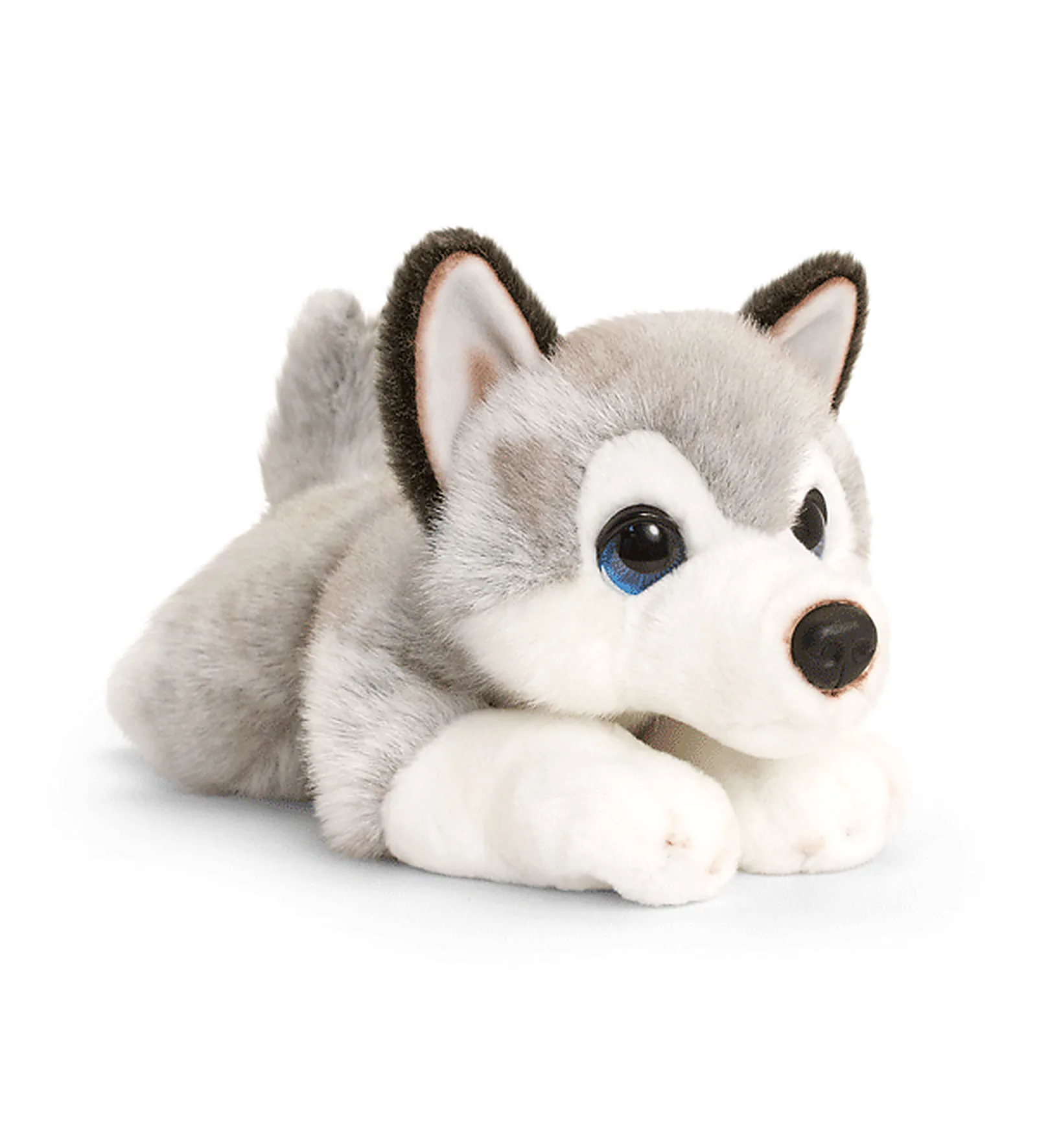 Chiot Husky Cuddle Puppy