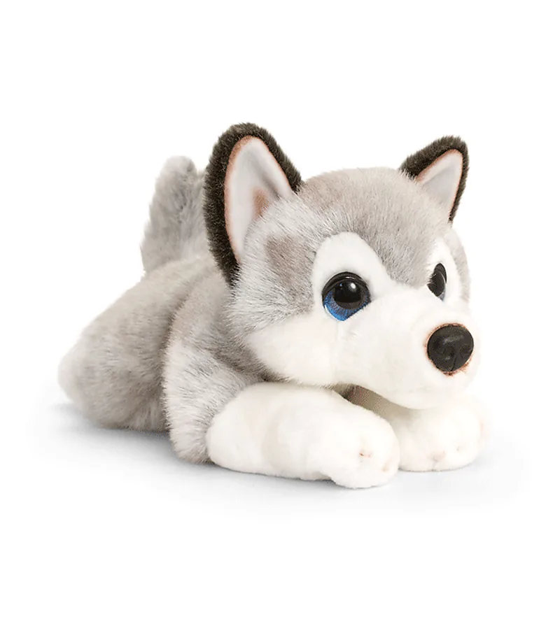 Chiot Husky Cuddle Puppy