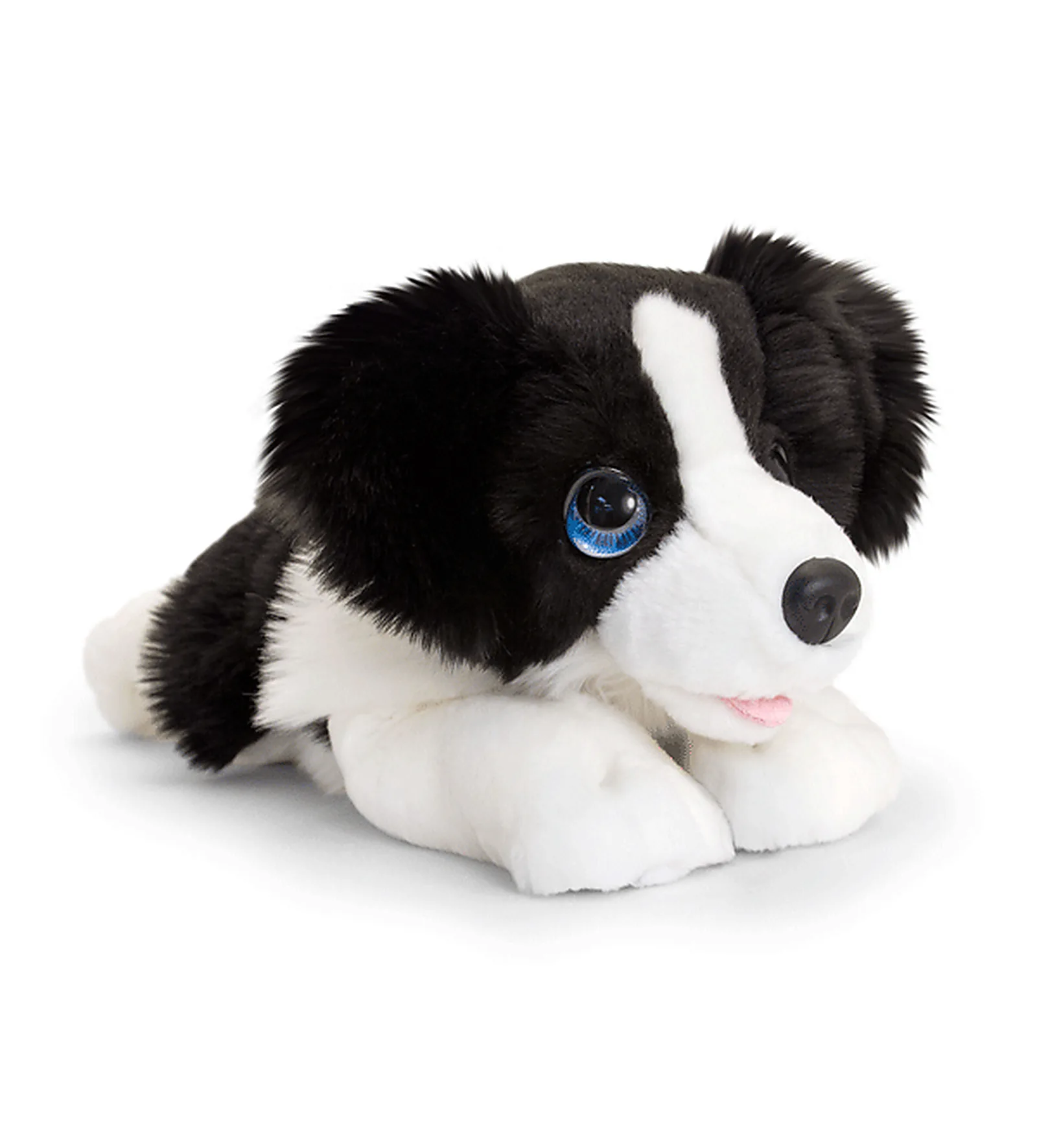 Chiot Border Collie Cuddle Puppy