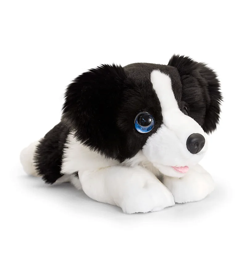 Chiot Border Collie Cuddle Puppy