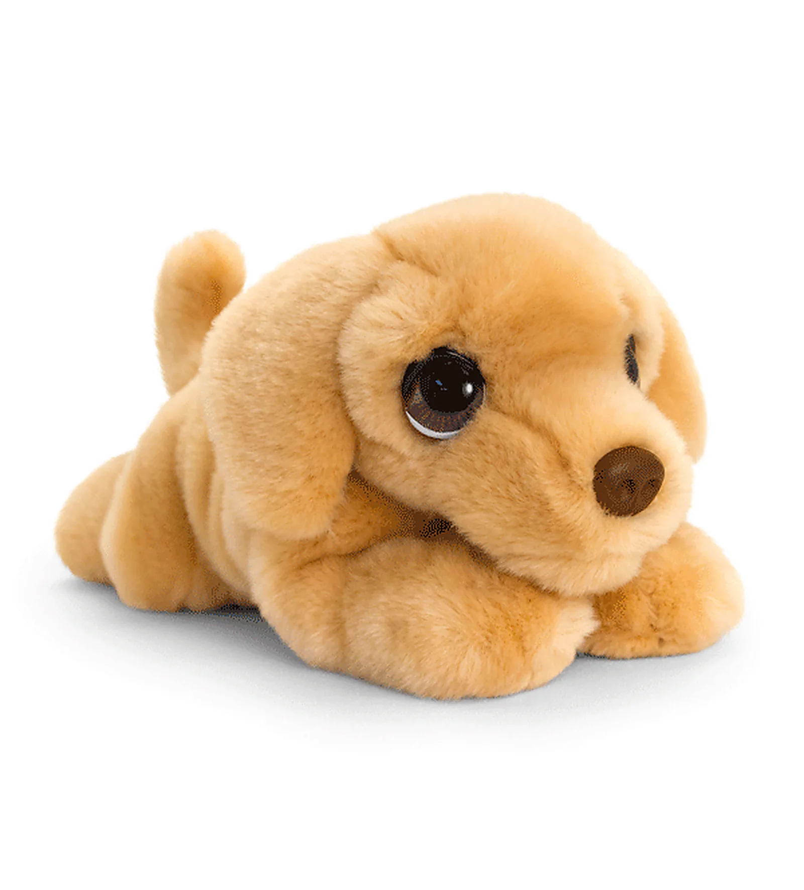 Chiot Labrador Cuddle Puppy