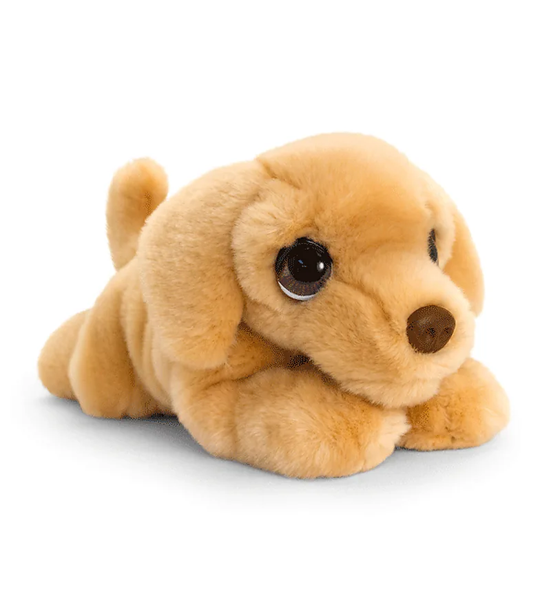 Chiot Labrador Cuddle Puppy