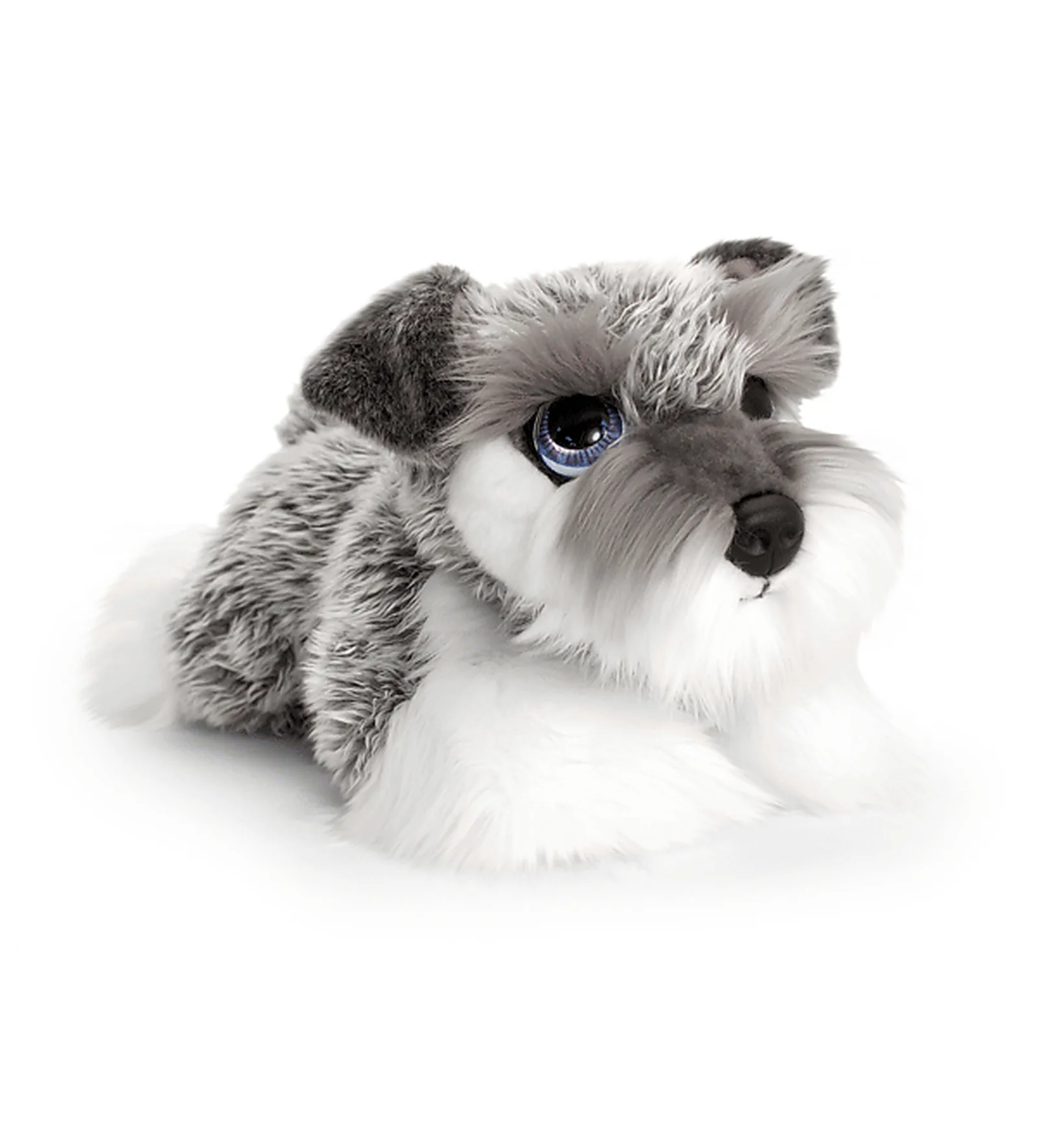 Chiot Schnauzer Cuddle Puppy