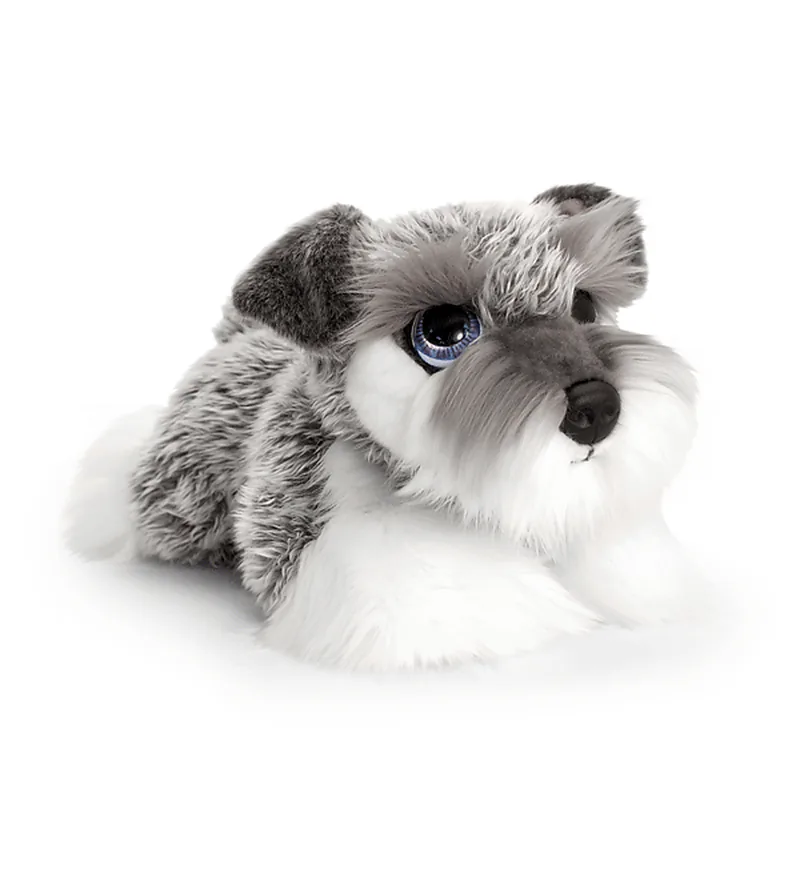 Chiot Schnauzer Cuddle Puppy