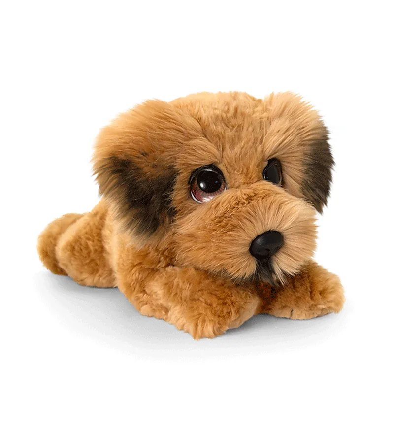 Chiot Terrier irlandais Cuddle Puppy