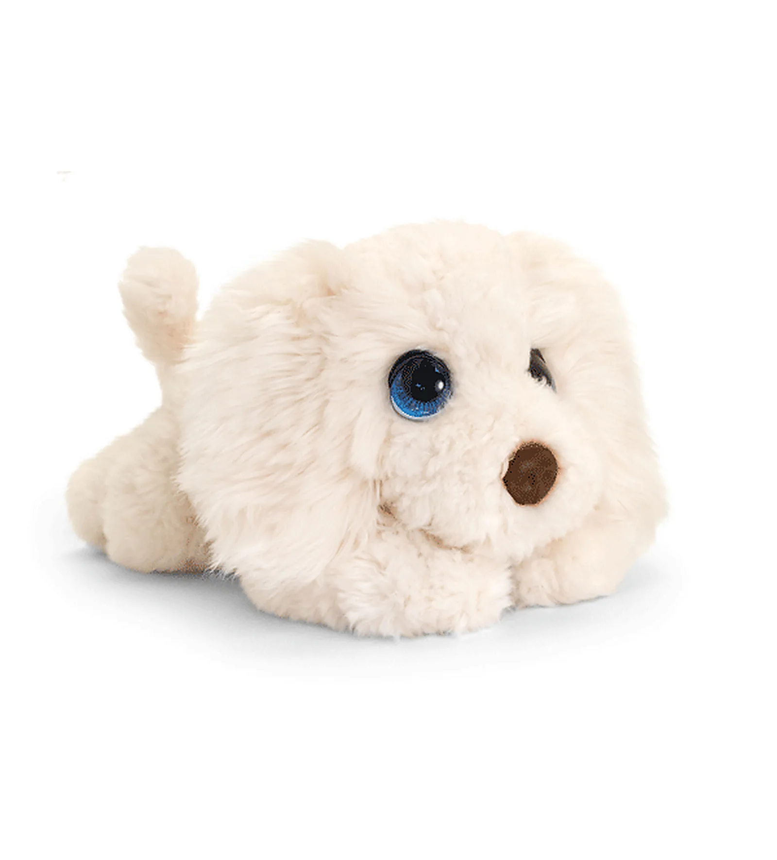Chiot Labradoodle Cuddle Puppy