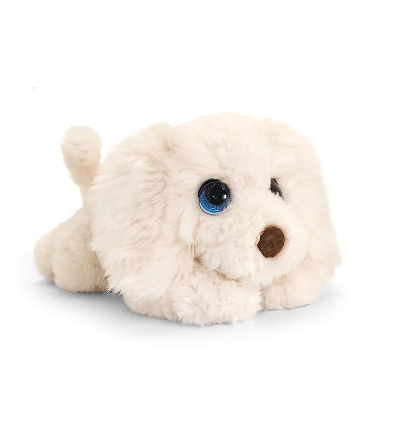 Chiot Labradoodle Cuddle Puppy