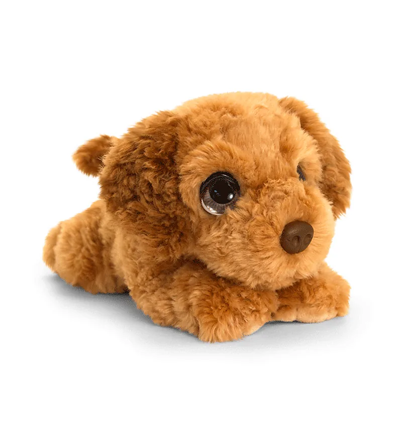 Chiot Cockapoo Cuddle Puppy