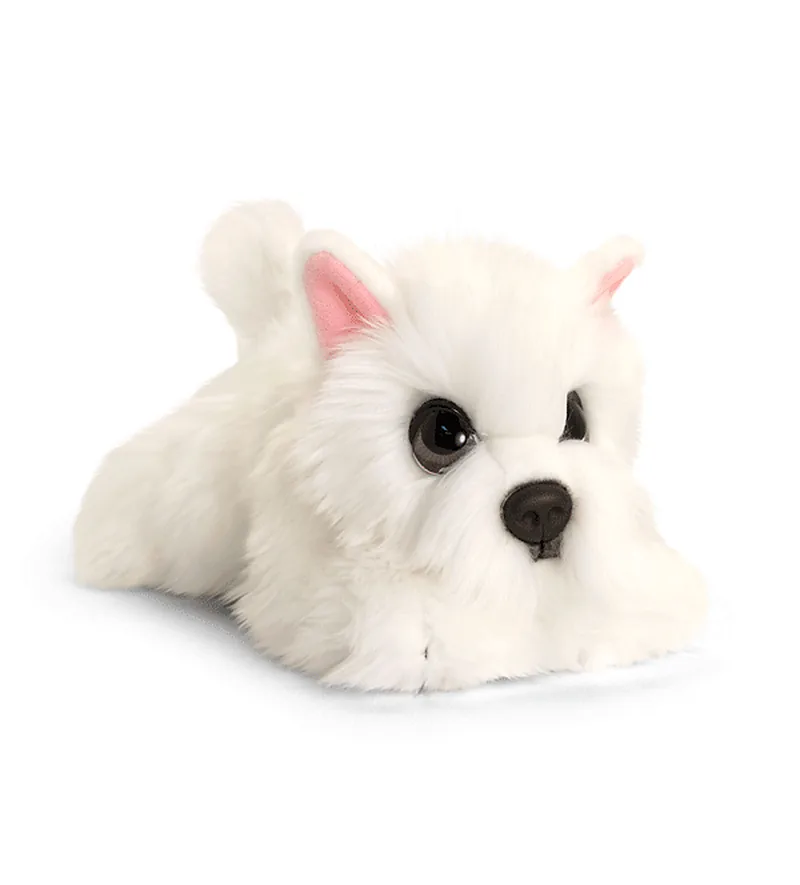 Chiot Westie Cuddle Puppy
